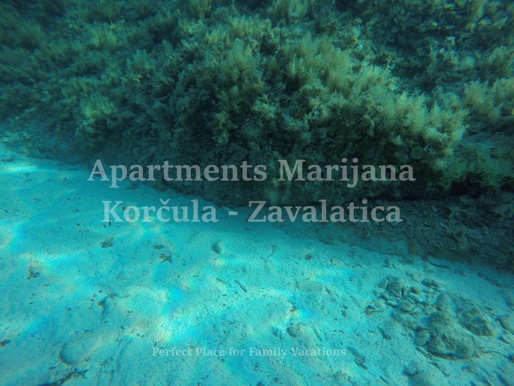 Apartments Marijana Zavalatica Kültér fotó