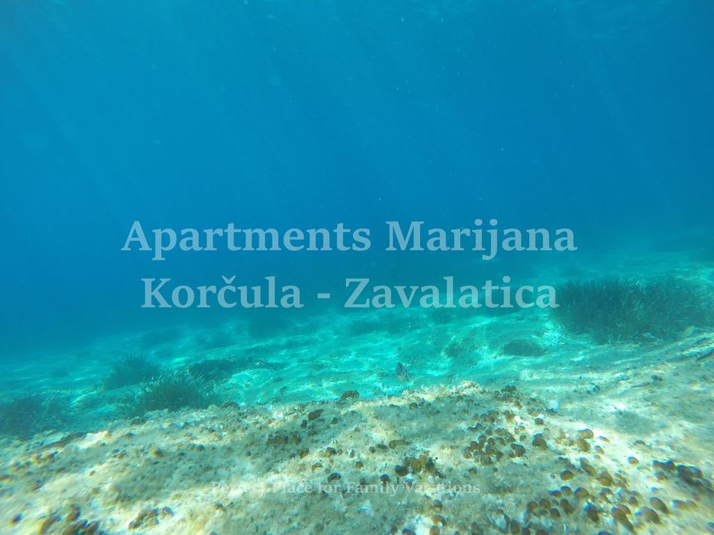 Apartments Marijana Zavalatica Kültér fotó